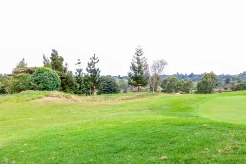 Thika Greens Golf Estate